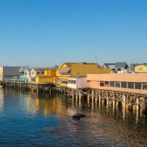 Meet your Posher, Traci - Picture 3 of 8